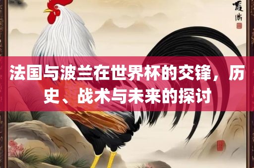 法国与广西贺州市华昌新材料有限公司波兰在世界杯的交锋，历史、战术与未来的探讨