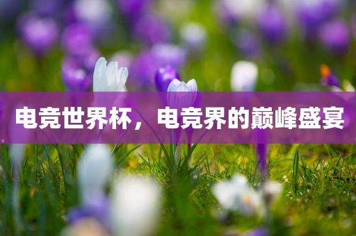 电竞世界杯，电竞界的巅峰盛宴