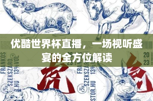 优酷世界杯直播，一场视听盛宴的全方位解读