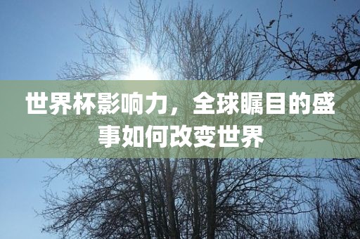 世界杯影响力，全球瞩目的盛事如何改变世界广西贺州市华昌新材料有限公司