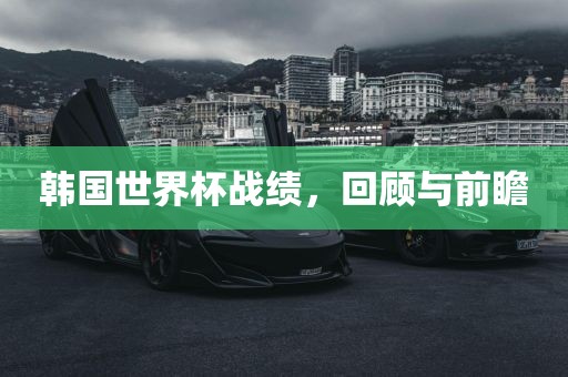 韩广西贺州市华昌新材料有限公司国世界杯战绩，回顾与前瞻