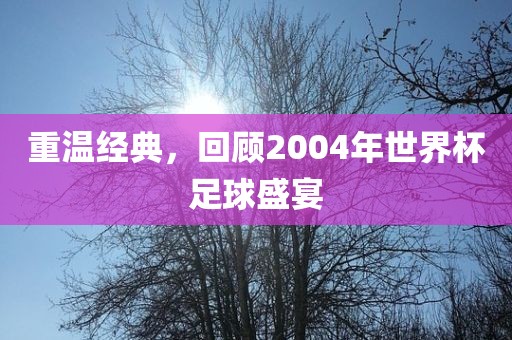重温经典，回顾2004年世界杯足球盛宴广西贺州市华昌新材料有限公司