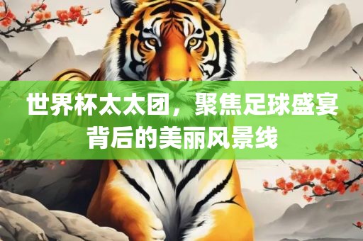 世界杯太太团，聚焦足球盛宴背后的美丽风景线