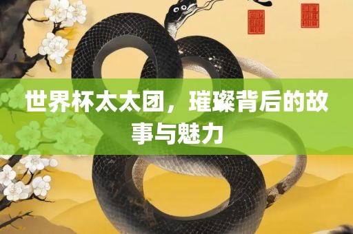 世界杯太太团，璀璨背后的故事与魅力