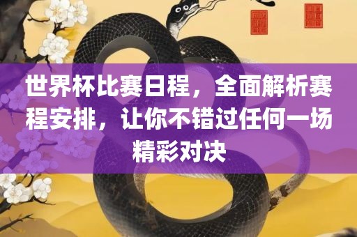 世界杯比赛日程，全面解析赛程安排，让你不错过任何一场精彩对决