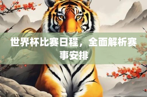 世界杯比赛日程，全面解析赛事安排广西贺州市华昌新材料有限公司