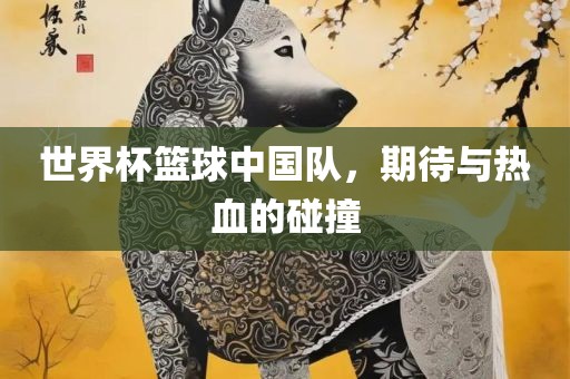 世界杯篮球中国队，期待与热血的碰撞