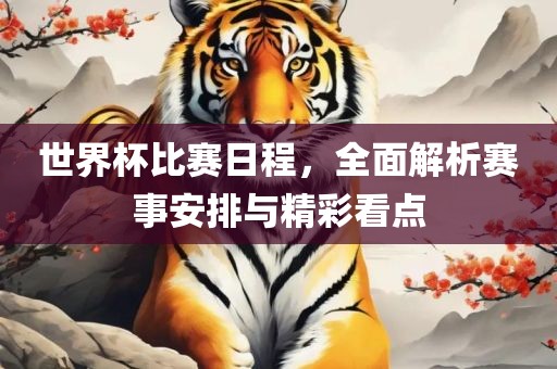 世界杯比赛日程，全面解析赛事安排与精彩看点广西贺州市华昌新材料有限公司