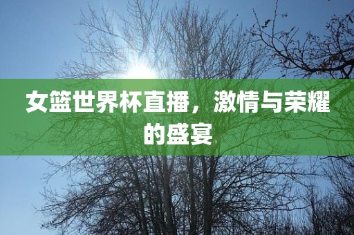 女篮世界杯直播，激情与荣耀的盛宴