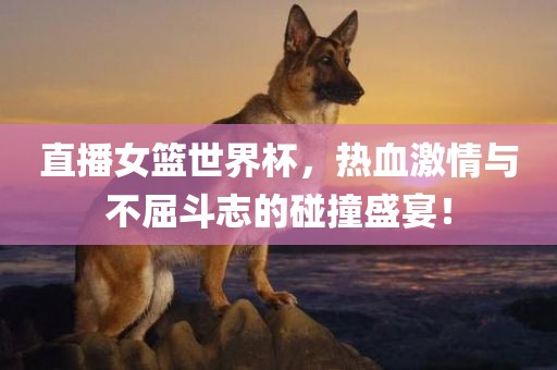 直播女篮世界杯，热血激情与不屈斗志的碰撞盛宴！