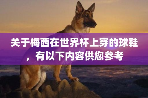 关于梅西在世界杯上穿的球鞋，有以下内容供您参考