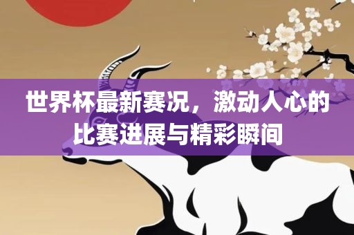 世界杯最新赛况，激动人心的比赛进展与精彩瞬间