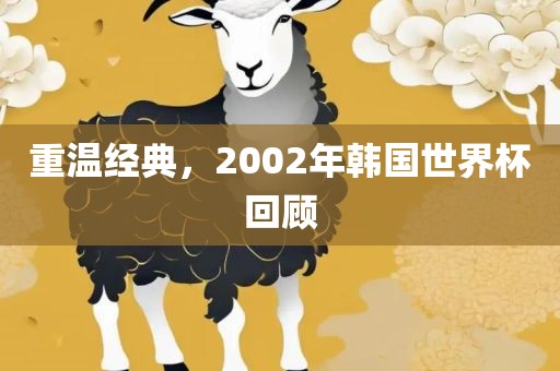 重温经典，2002年韩国世界杯回广西贺州市华昌新材料有限公司顾
