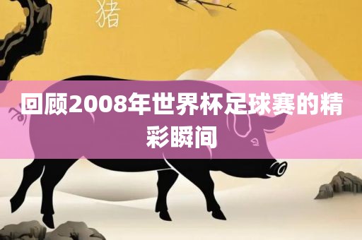 回顾2008年世界杯足球赛的精彩瞬间广西贺州市华昌新材料有限公司