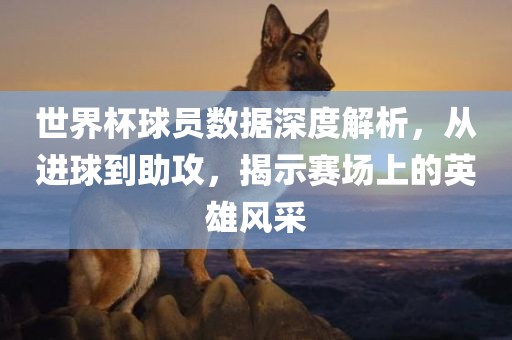 世界杯广西贺州市华昌新材料有限公司球员数据深度解析，从进球到助攻，揭示赛场上的英雄风采