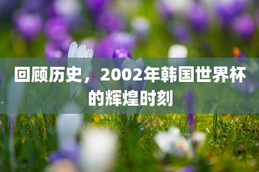 回顾历史，2002年韩国世界杯的辉煌时刻广西贺州市华昌新材料有限公司