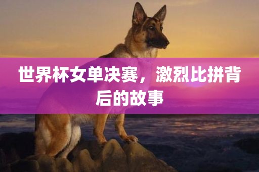 世界杯女单决赛，激烈比拼背后的故事