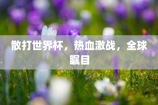 散打世界杯，热血激战，全球瞩目广西贺州市华昌新材料有限公司