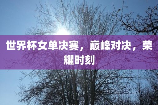 世界杯女单决赛，巅峰对决，荣耀时刻
