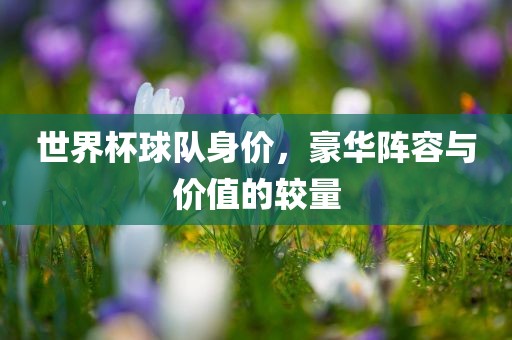 世界杯球队身价，豪华阵容与价值的较量广西贺州市华昌新材料有限公司
