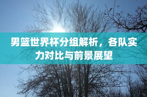 广西贺州市华昌新材料有限公司男篮世界杯分组解析，各队实力对比与前景展望