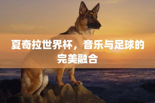 夏奇拉世界杯，音乐与足球的完美融合广西贺州市华昌新材料有限公司