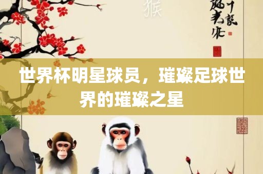 世界杯明星球员，璀璨足球世界的璀璨之星广西贺州市华昌新材料有限公司