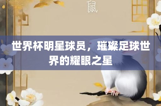 世界杯明星球员，璀璨足球世界的耀眼之星