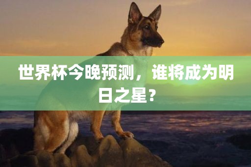 judong 第9页