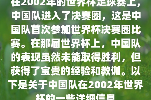 在2002年的世界杯足球赛上，中国队进入了决赛圈，这是中国队首次参加世界杯决赛圈比赛。在那届世界杯上，中国队的表现虽然未能取得胜利，但获得了宝贵的经验和教训。以下是关于中国队在2002年世界杯的一些详细信息
