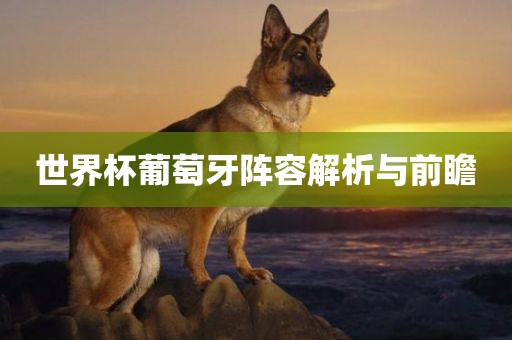 世界杯葡萄牙阵容解析与前瞻