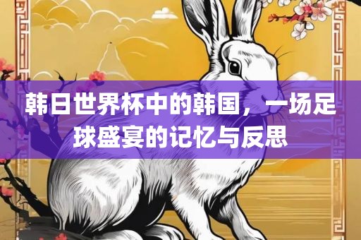 韩日世界杯中的韩国，一场足球盛宴的记忆与反思广西贺州市华昌新材料有限公司