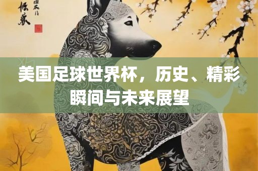 美国足球世界杯，历史、精彩瞬间与未来展望广西贺州市华昌新材料有限公司