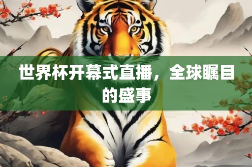 世界杯开幕式直播，全球瞩目的盛事广西贺州市华昌新材料有限公司