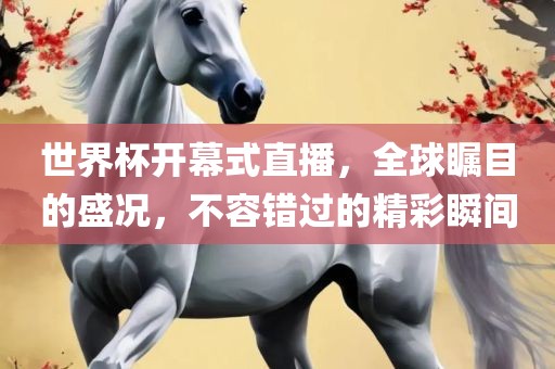 世界杯开幕式直播，全球瞩目的盛况，不容错过的精彩瞬间广西贺州市华昌新材料有限公司