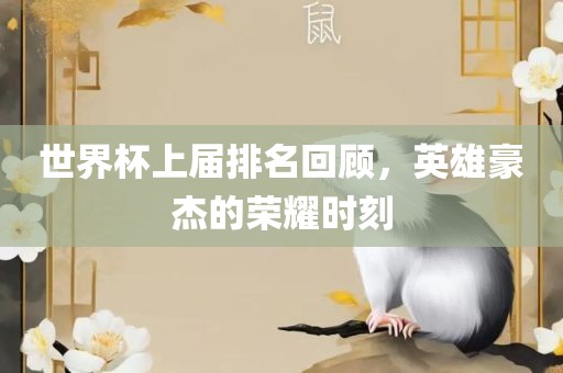 世界杯上届排名回顾，英雄豪杰的荣耀时刻广西贺州市华昌新材料有限公司