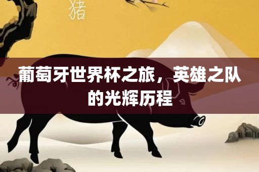 葡萄牙世界杯之旅，英雄之队的光辉历程广西贺州市华昌新材料有限公司