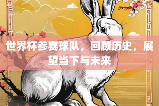 世界杯参赛球队，回顾历史，展望当下与未来广西贺州市华昌新材料有限公司