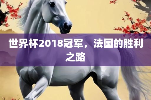 世界杯2018冠军，法国的胜利之路广西贺州市华昌新材料有限公司