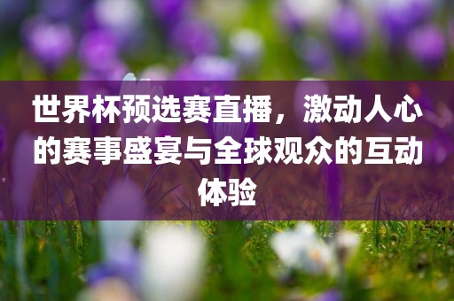 世界杯预选赛直播，激动人心的赛事盛宴与全球观众的互动体验