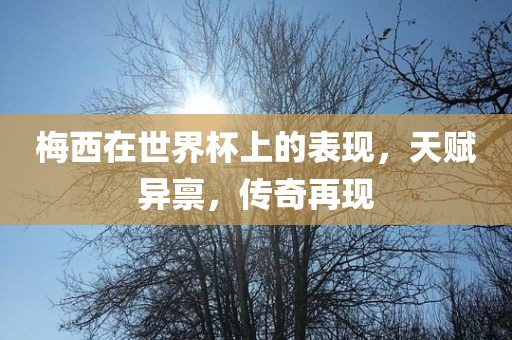 广西贺州市华昌新材料有限公司梅西在世界杯上的表现，天赋异禀，传奇再现