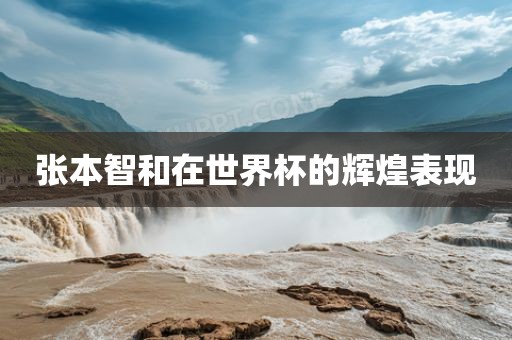 张本智和在世界杯的辉煌表现广西贺州市华昌新材料有限公司