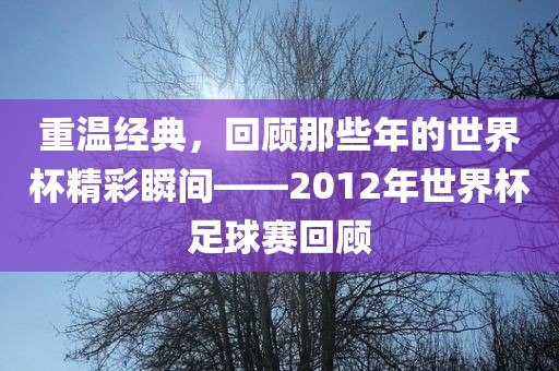 重温经典，回顾那些年的世界杯精彩瞬间——2012年世界杯足球赛回顾广西贺州市华昌新材料有限公司