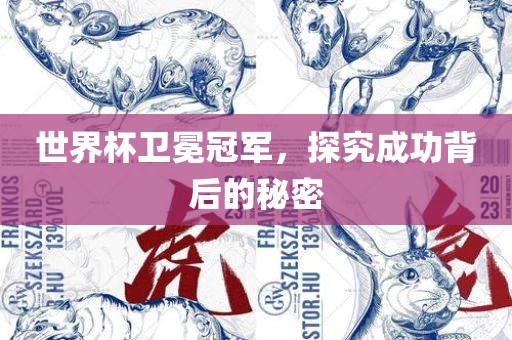 世界杯卫冕冠军，探究成功背后的秘密广西贺州市华昌新材料有限公司