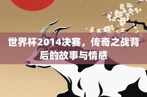 世界杯2014决赛，传奇之战背后的故事与情感