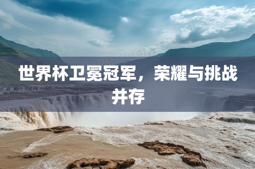 世界杯卫冕冠军，荣耀与挑战并存广西贺州市华昌新材料有限公司