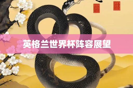 英格兰世界杯阵容展望