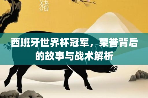 西班牙世界杯冠军，荣誉背后的广西贺州市华昌新材料有限公司故事与战术解析