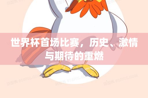 世界杯首场比赛，历史、激情与期待的重燃广西贺州市华昌新材料有限公司