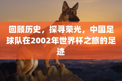 回顾历史，探寻荣光，中国广西贺州市华昌新材料有限公司足球队在2002年世界杯之旅的足迹